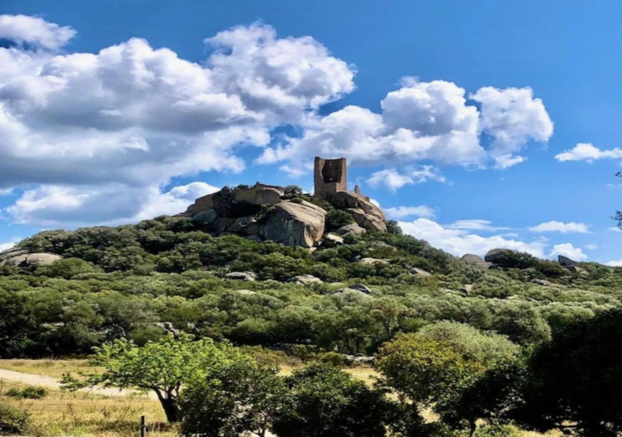 Castle Rooms أولبيا المظهر الخارجي الصورة